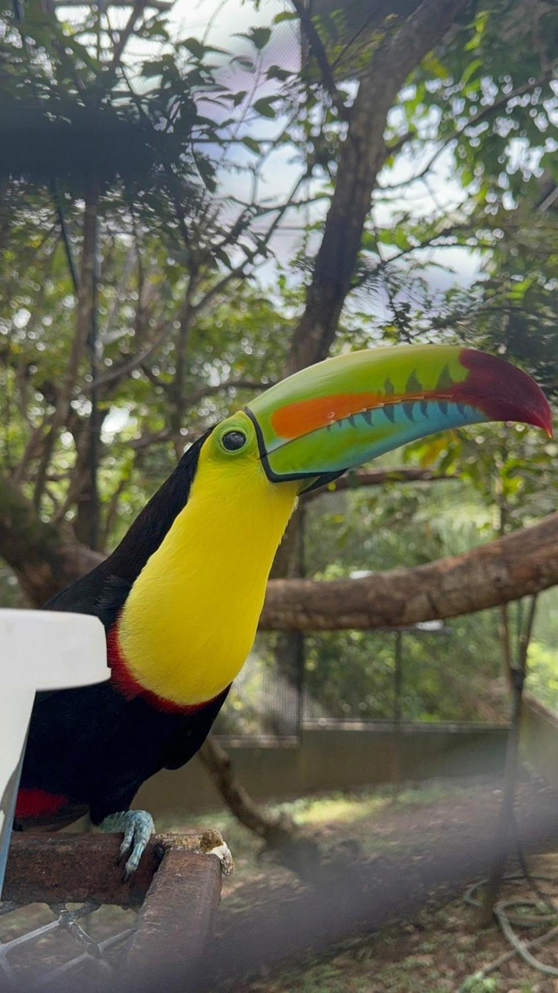 Casa Nero Panama Villa Boca Chica Kültér fotó